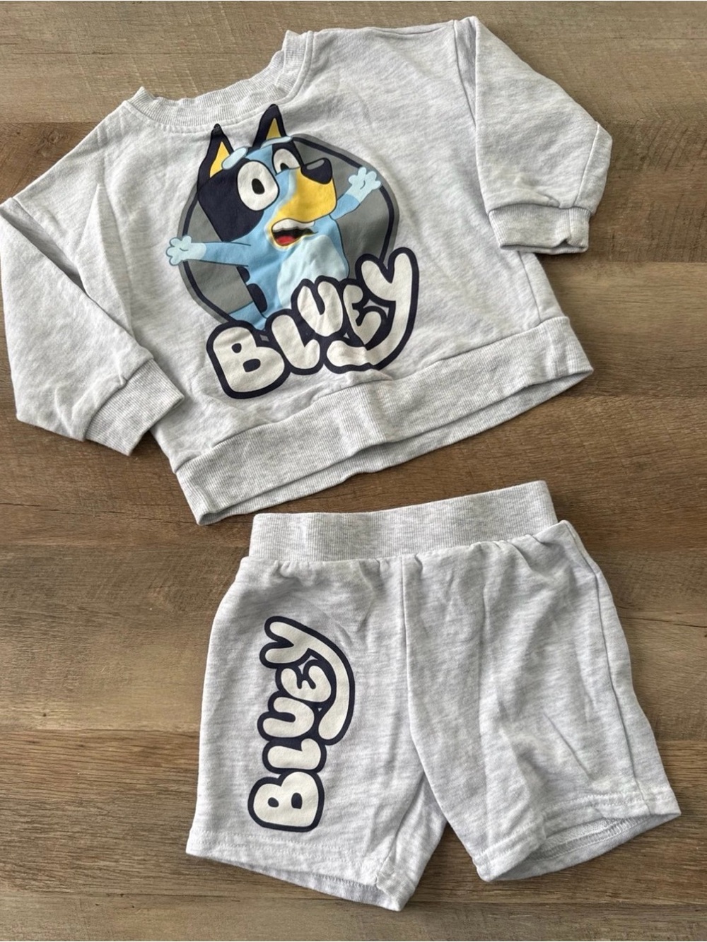 Bluey LOT (5 articles) | 3T